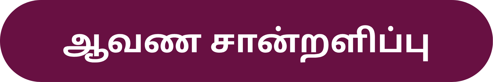 ஆவண மொழிபெயர்ப்பு