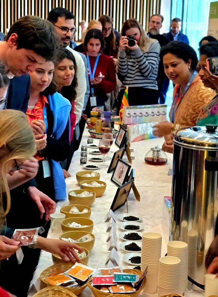 Sri Lanka marks International Tea Day with FAO at the UN in Geneva picture 4